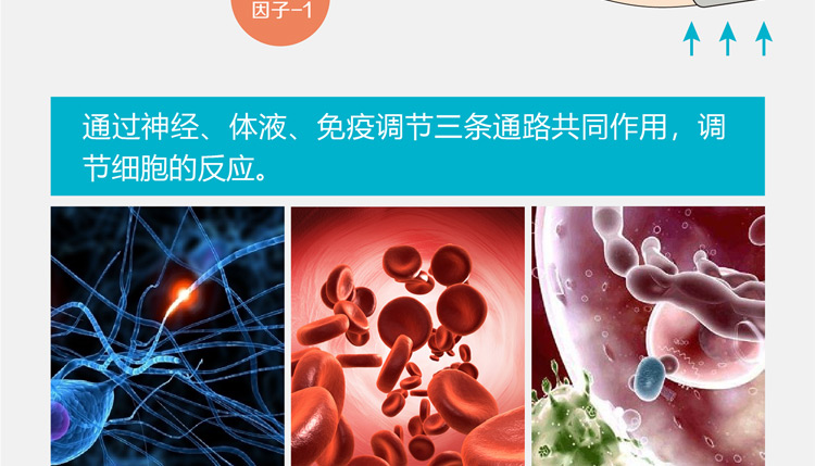 缺血预适应训练仪， 心脑血管病预防新技术