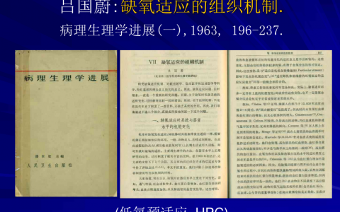 首都医科大学低氧医学研究所吕国蔚：缺氧适应的组织机制