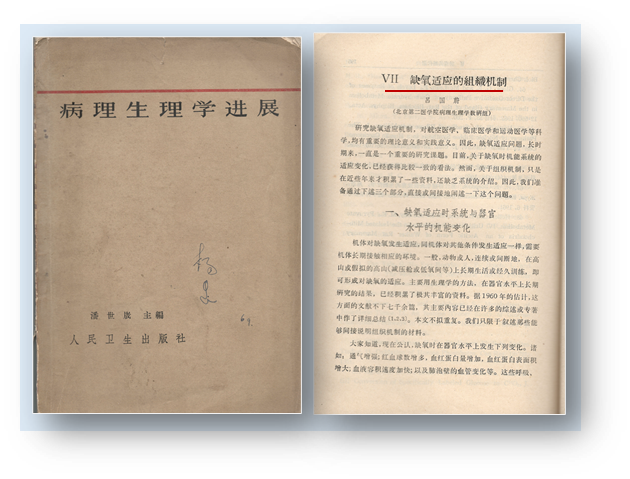 宣武医院吴川杰：什么是双上肢远隔缺血适应治疗？