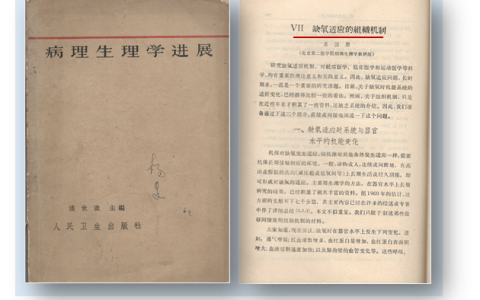 宣武医院吴川杰：什么是双上肢远隔缺血适应治疗？